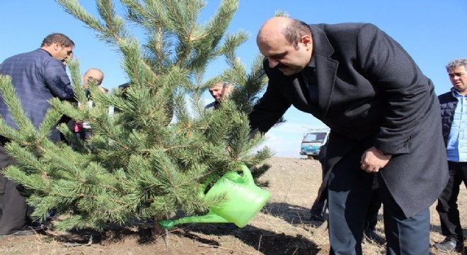 Aziziye’de yeşil çevre yatırımı