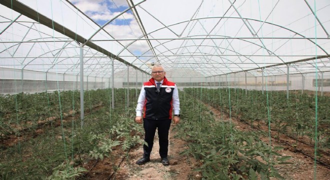 DAP BKİ den seracılık desteği