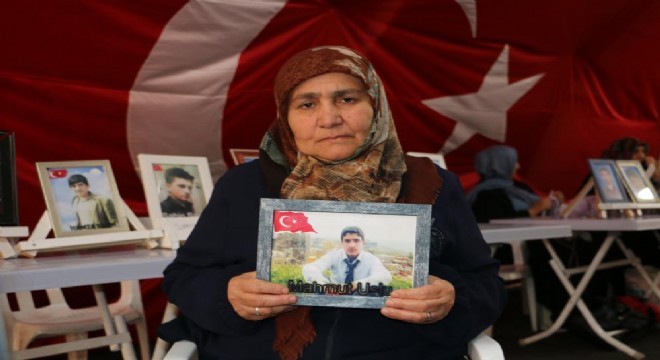 Diyarbakır Anaları 164 gündür nöbette