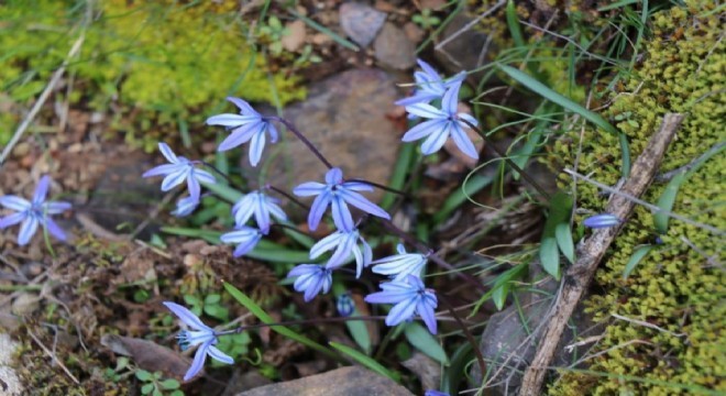 Erzurum un bir yanı kış bir yanı bahar
