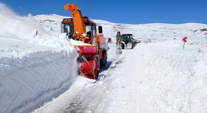 Kar Erzurum'da hayatı felç etti