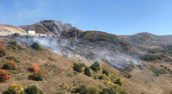 Kop Dağı ndaki örtü yangını kontrol altına alındı