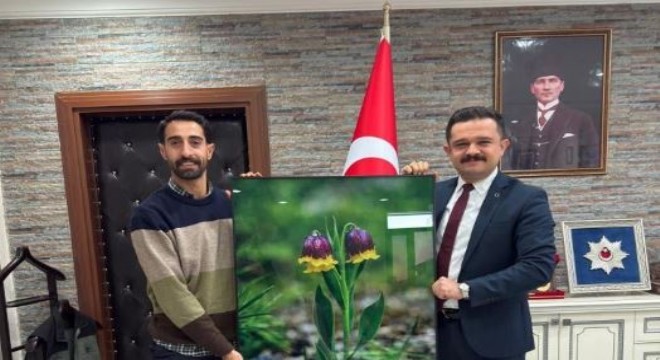 Ters Lale Festivali Mayıs ayında yapılacak