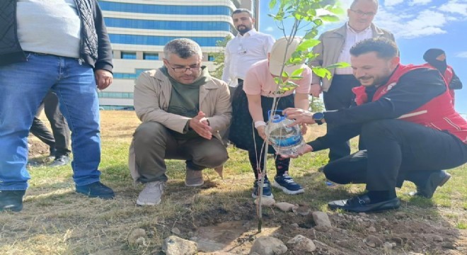 Tuana nın fidan hayali gerçek oldu