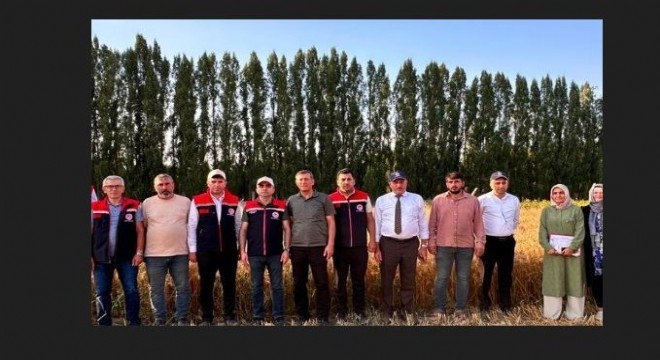 Yerli tohum  Parla  Erzurum un kışına meydan okuyor