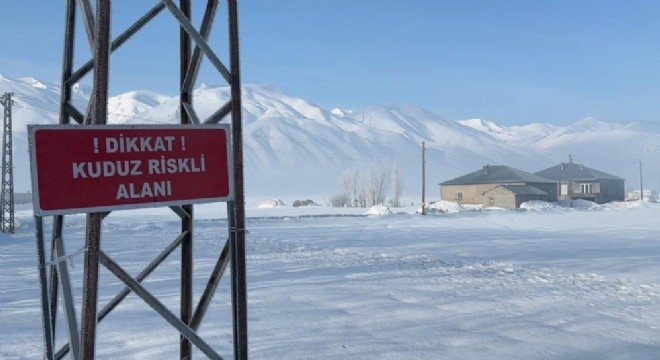 Yüksekova'da kuduz vakası