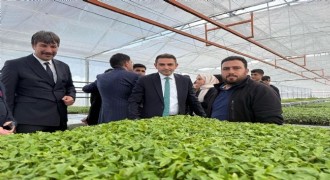 Tarım Lisesi fide üretimine DAP BKİ desteği