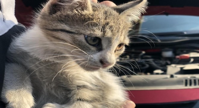 ‘Kontağı çevirmeden kaputa vurun’